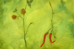 Hot-chili-2014-92x73cmAcrilico