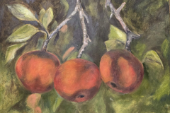 Manzanas, Óleo/Lienzo (60x73cm)